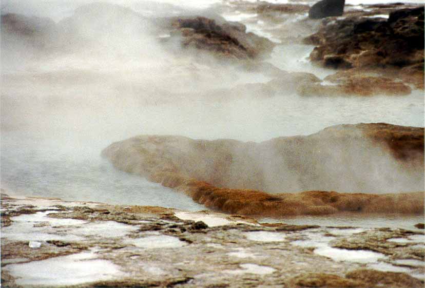 IJ_NY_1_16A_geysir_stoom2.jpg (49336 bytes)