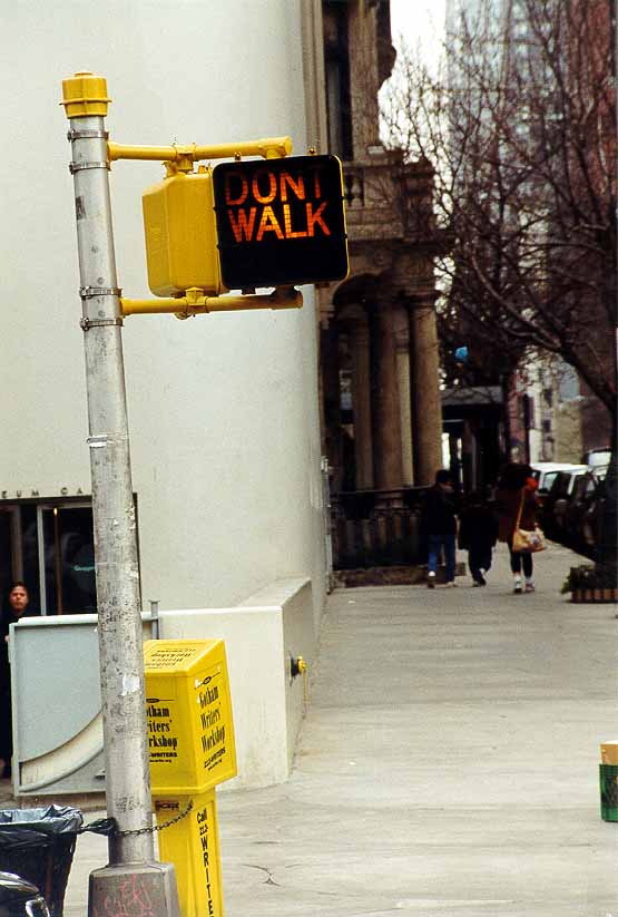 IJ_NY_2_14A_NY_dont_walk.jpg (58259 bytes)