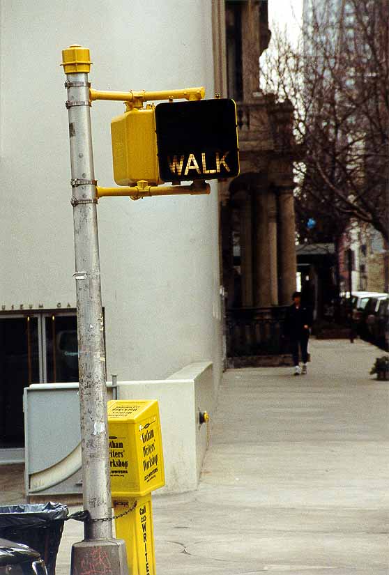 IJ_NY_2_15A_NY_walk.jpg (57662 bytes)