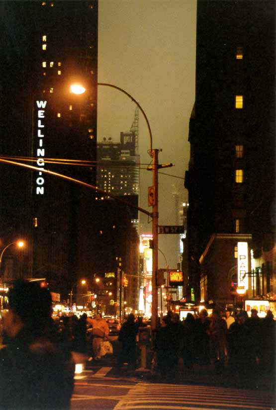 IJ_NY_2_17A_NY_by_night_hotel_wellington_met_mist.jpg (47991 bytes)